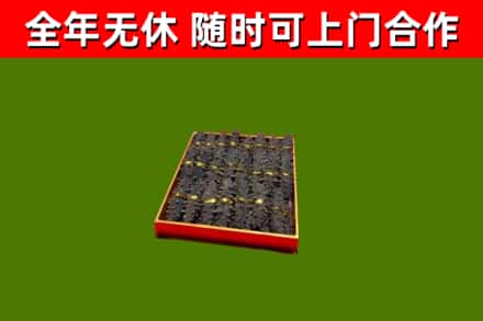 清水县回收海参